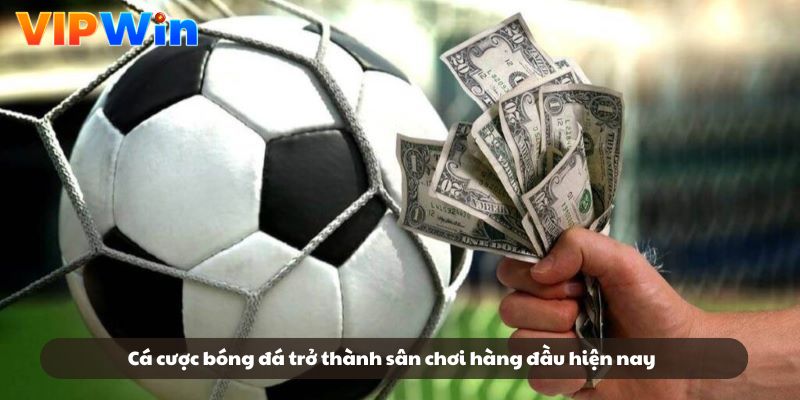 Cá cược bóng đá trở thành sân chơi hàng đầu hiện nay Cá cược bóng đá trở thành sân chơi hàng đầu hiện nay
