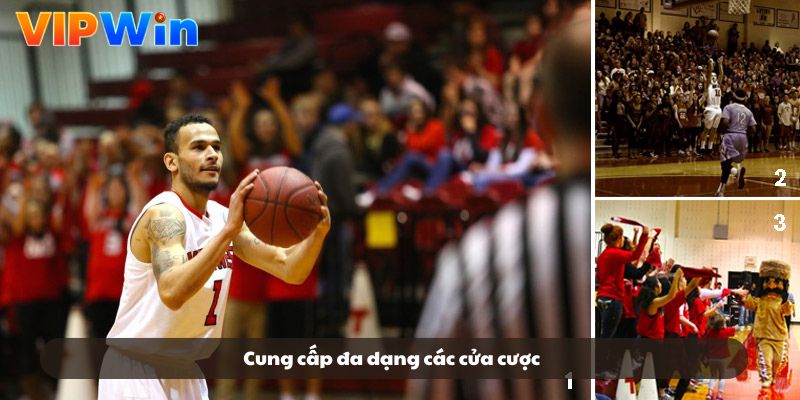 Cung cấp đa dạng các cửa cược