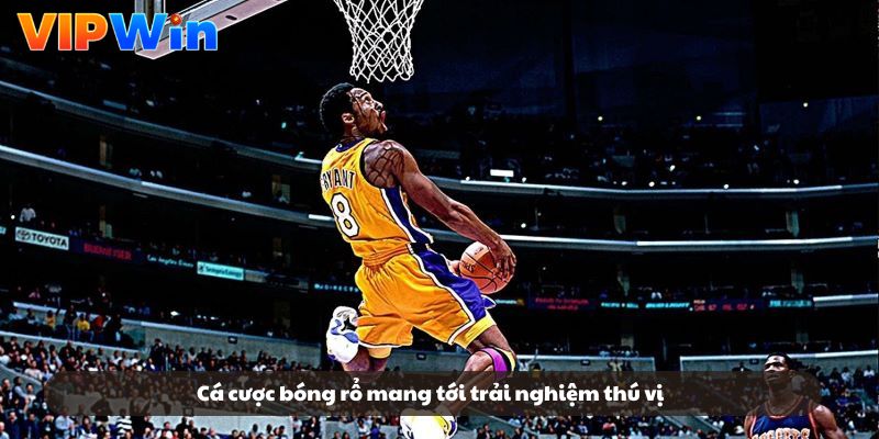 Cá cược bóng rổ mang tới trải nghiệm thú vị