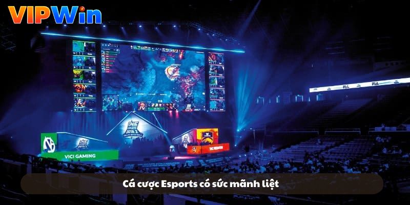 Cá cược Esports có sức mãnh liệt Cá cược Esports có sức mãnh liệt
