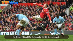 Cách xem Odds Và Fix