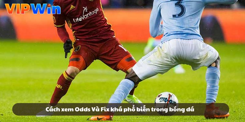 Cách xem Odds Và Fix khá phổ biến trong bóng đá