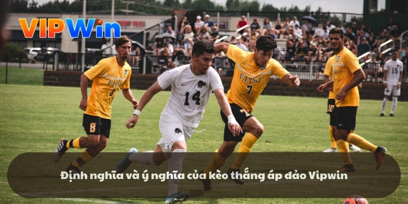 Định nghĩa và ý nghĩa của kèo thắng áp đảo Vipwin Định nghĩa và ý nghĩa của kèo thắng áp đảo Vipwin