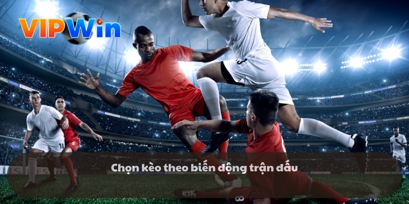 Lý do mọi người yêu thích kèo lựa là gì? Lý do mọi người yêu thích kèo lựa là gì?