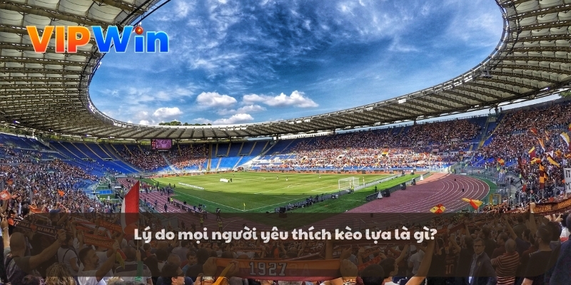 Chọn kèo theo biến động trận đấu Chọn kèo theo biến động trận đấu