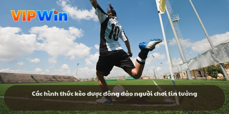 Các hình thức kèo được đông đảo người chơi tin tưởng Các hình thức kèo được đông đảo người chơi tin tưởng