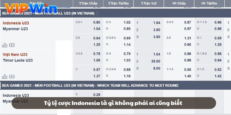 Tỷ lệ cược Indonesia là gì không phải ai cũng biết Tỷ lệ cược Indonesia là gì không phải ai cũng biết