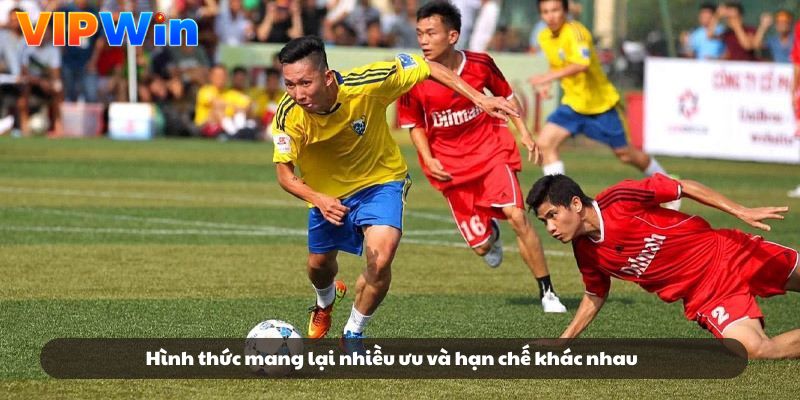 Hình thức mang lại nhiều ưu và hạn chế khác nhau Hình thức mang lại nhiều ưu và hạn chế khác nhau