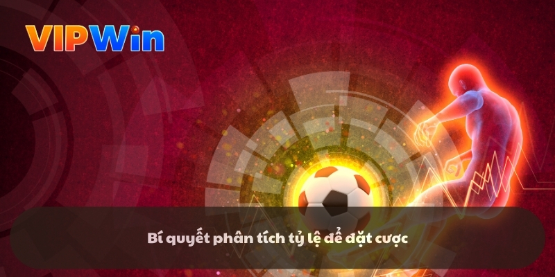 Bí quyết phân tích tỷ lệ để đặt cược Bí quyết phân tích tỷ lệ để đặt cược