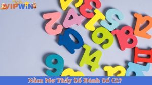 Nằm Mơ Thấy Số Đánh Con Gì