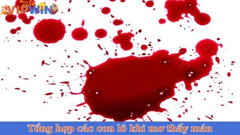 Tổng hợp các con lô khi mơ thấy máu
